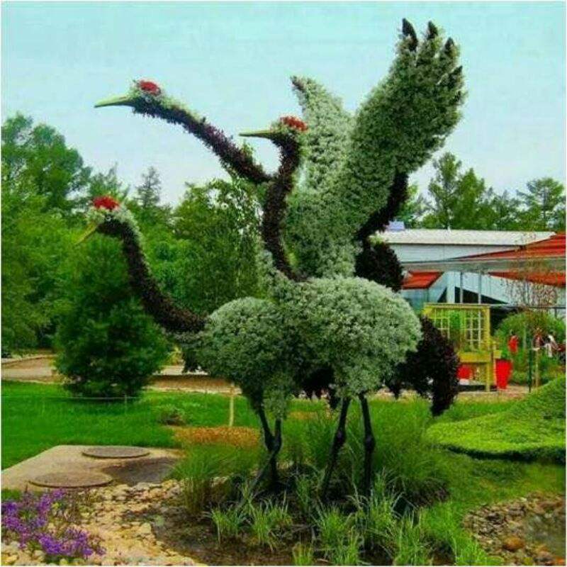 ����ֲ�����