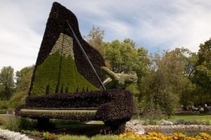 ����ֲ�����