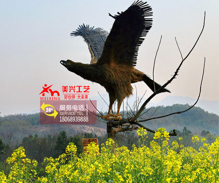 �����˹���Ʒ