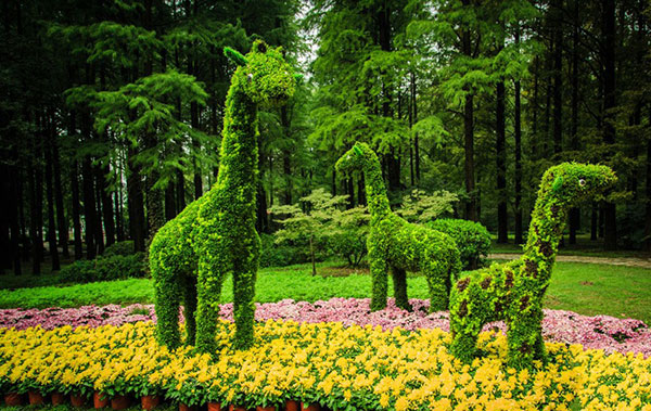 ����ֲ�����