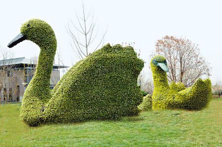 �����̵�