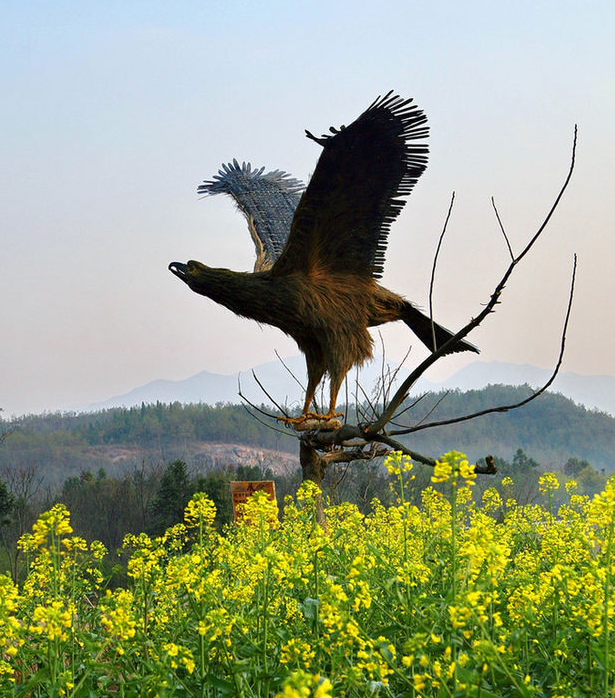 ����������