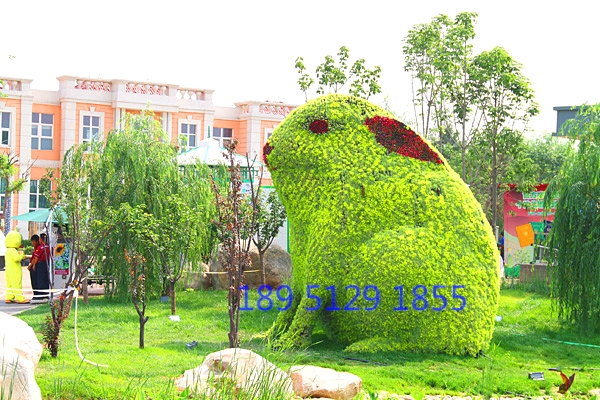 ����ֲ�����