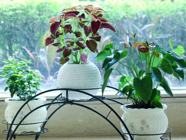 ���ջ���