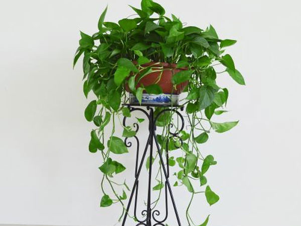 ���ջ���