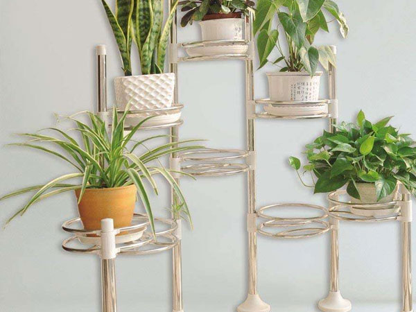 ����ֻ���