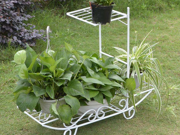 ���ۻ���