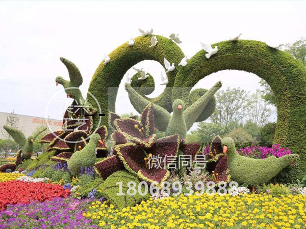 �����̵�