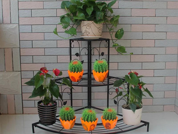 ���ջ���