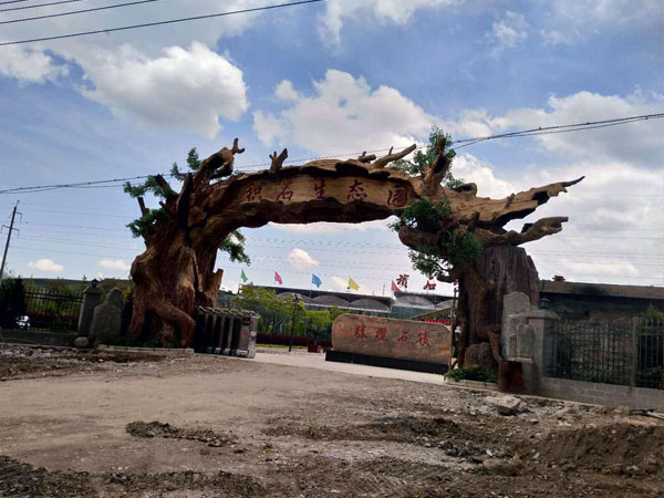 ��������