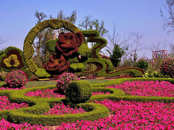 �����̵�