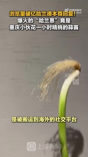 阿根廷队直播_阿根廷在线高清直播_阿根廷直播视频在线观看